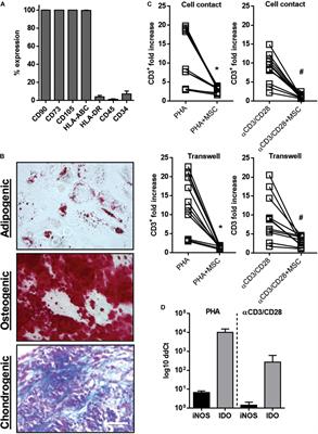 Integrated Analysis of Transcriptome and Secretome From Umbilical Cord Mesenchymal Stromal Cells Reveal New Mechanisms for the Modulation of Inflammation and Immune Activation